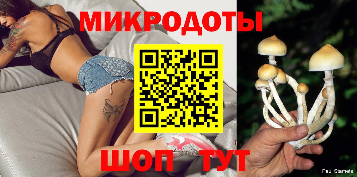 Тимашёвск  Галлюциногенные грибы прущие грибы  Вход с VPN 
